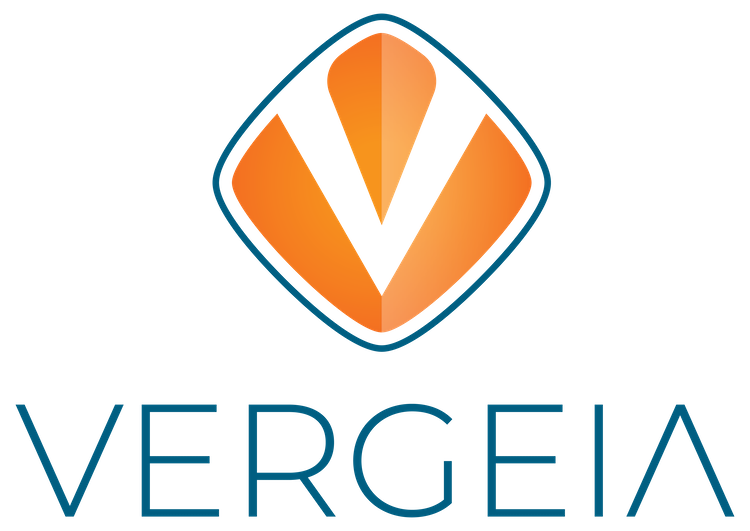 Vergeia: Custom digital solutions for your small business